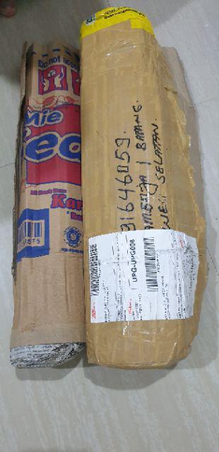 Bibit Bunga Kamboja Jepang Adenium Triple 1 Batang 3 Warna Terbaru 2019