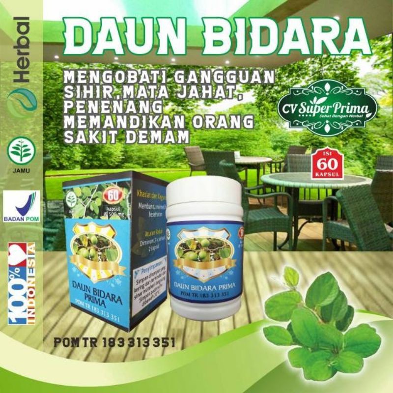 

Daun bidara