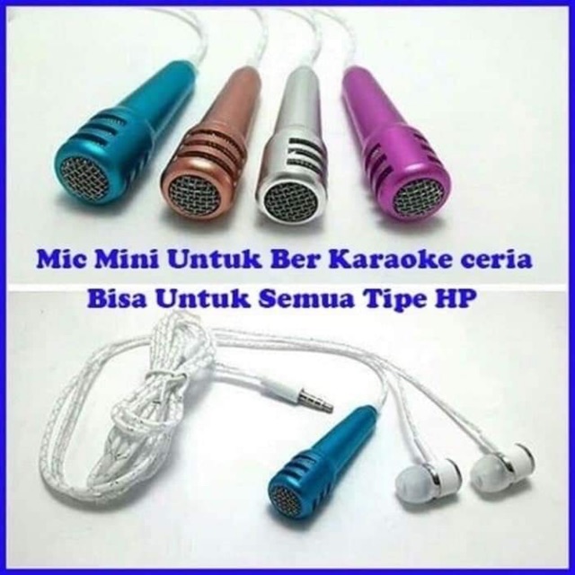 Microphone mini