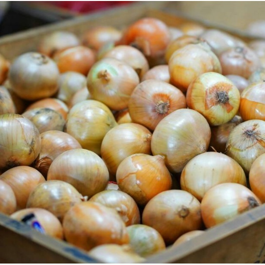 

Bawang Bombay Segar