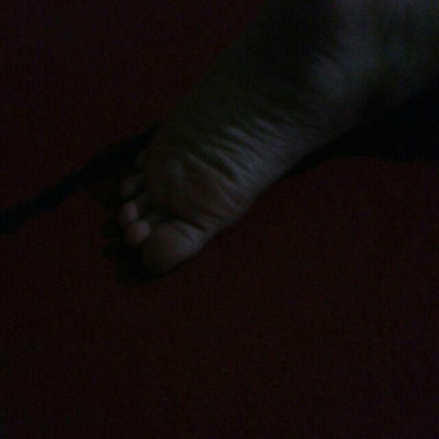 Gamis Batik Motif Kipas Hitam Merah Busana Muslim Wanita Modern Casual Trendy Kekinian Allsize Jumbo