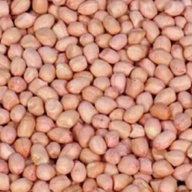 

Kacang Tanah 100gram