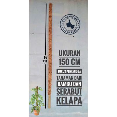 Turus penyanggah tanaman 150cm - turus tanaman rambat bambu