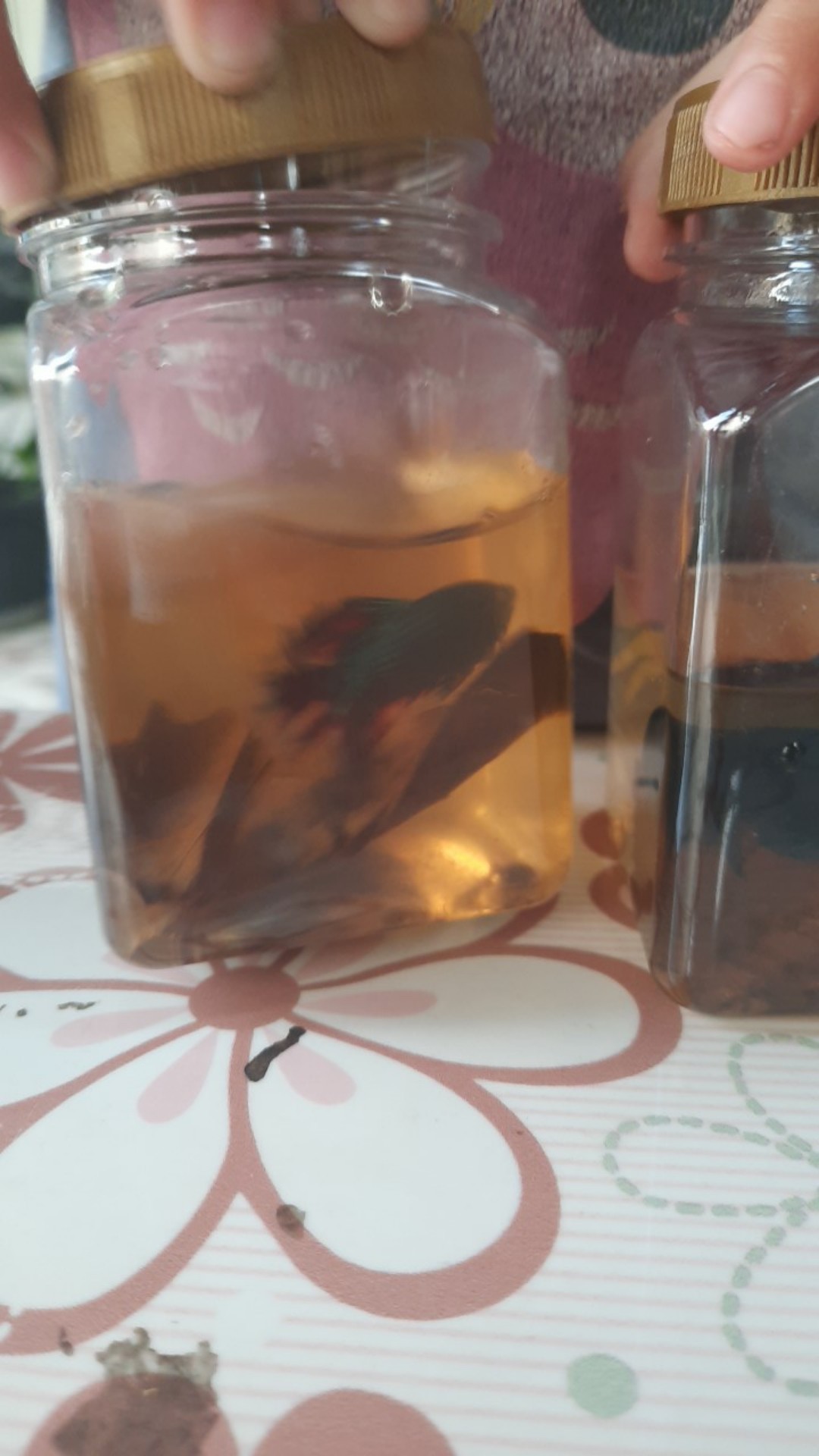 Toples Plastik Kotak 340ml - Toples Sambal/bumbu/selai/kue/parsel/coklat