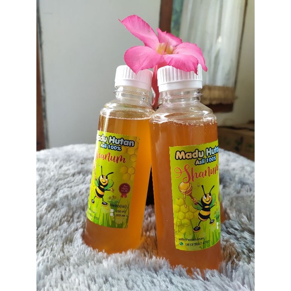 

Madu hutan liar murni asli 100% kemasan 250ml