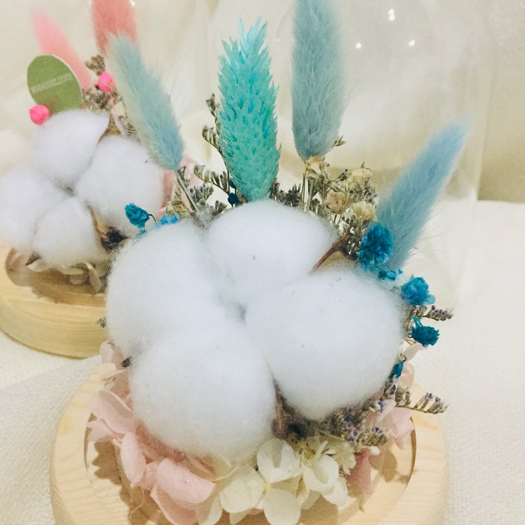 [Msdandelion] dried flower glass dome | flower dome | kado ulang tahun | kado valentine | kado wisud