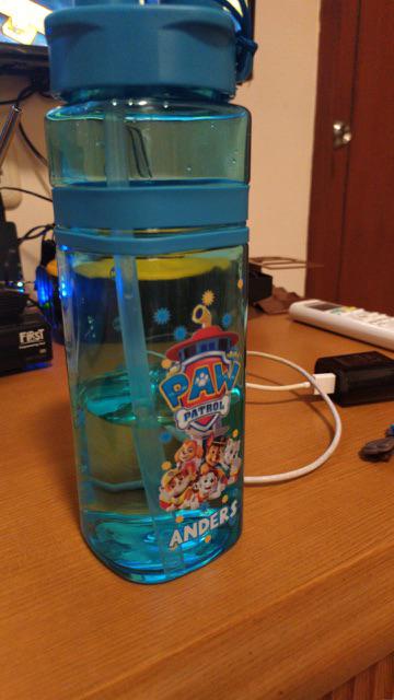 Taurielstore.id Botol Minum Custom Paw Patrol/monkey/minnie Mouse/mickey Mouse/my Little Pony/flower