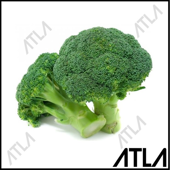 Benih Brokoli Biji Bibit Tanaman Sayur Sayuran Hidroponik Refill