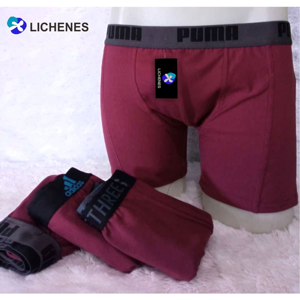 Celana Dalam Pria Boxer Underwear (paket isi 5) Random