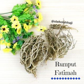 Rumput Fatimah Shopee Indonesia