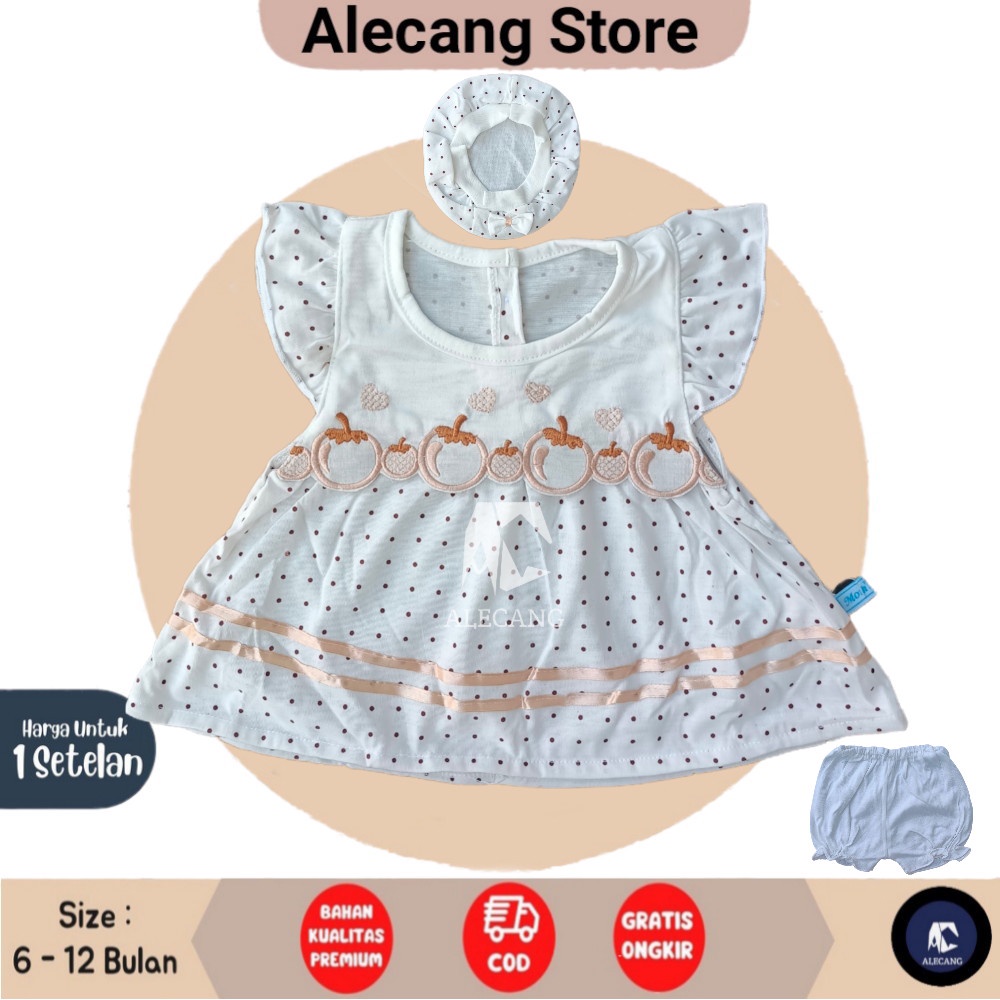 Dress Bayi Alecang STORE 3 - 18 Bulan / Setelan Baju Bayi Perempuan ( SET TOPI )