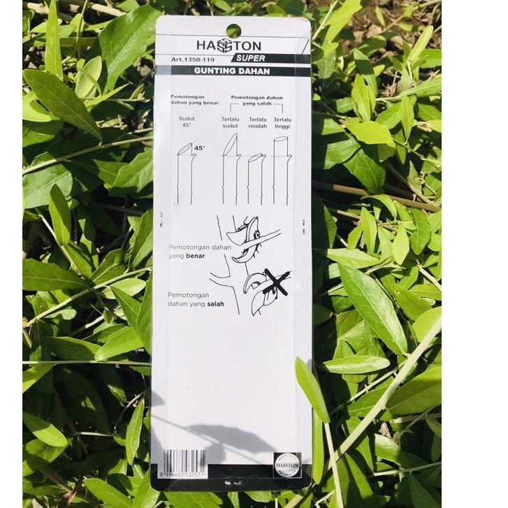 ► Gunting Dahan HASSTON PROHEX 1350 - Gunting Ranting Tanaman HASTON Super 1350 Gt Bunga Stek ✽
