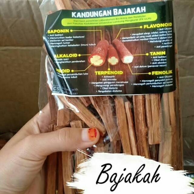 

Akar bajakah asli