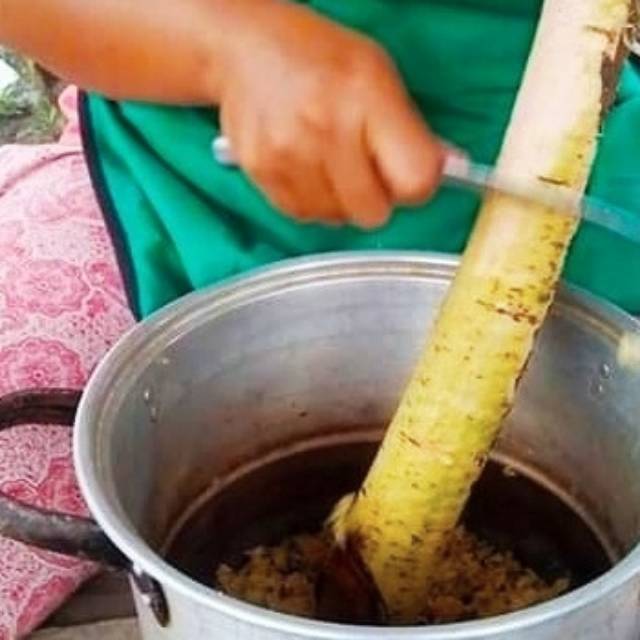 

Batang holat balakka Amla kemloko khas Padang bolak