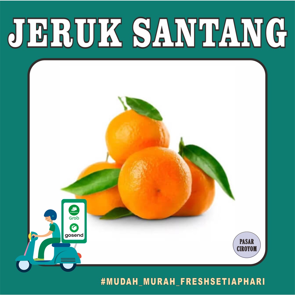 

JERUK SANTANG FRESH MURAH BANDUNG