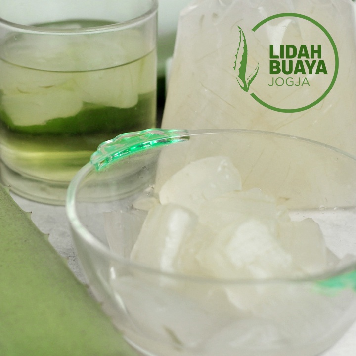 

Nata De Aloe Vera / Lidah Buaya