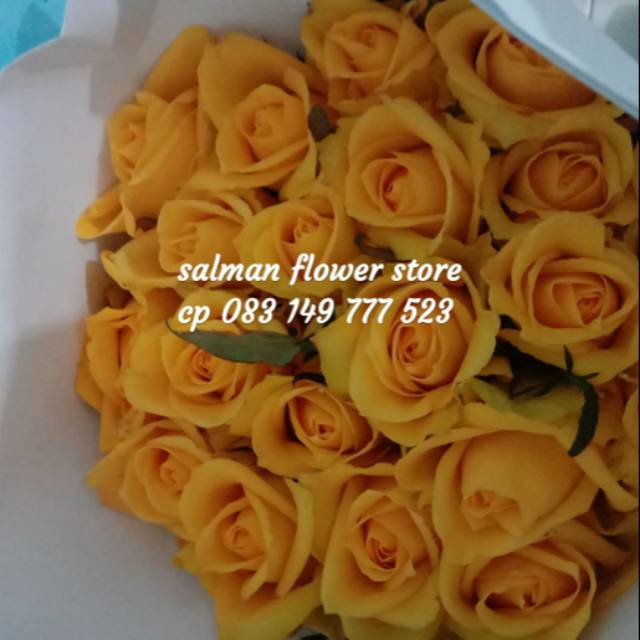 Bunga mawar mohana per 20 batang bunga mawar potong bunga potong segar buket bunga