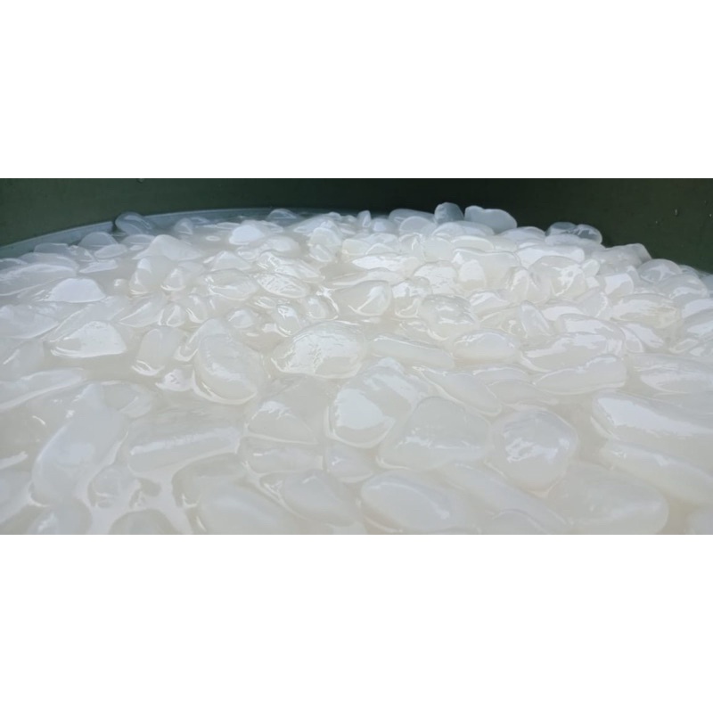 

Kolang kaling Medan Super