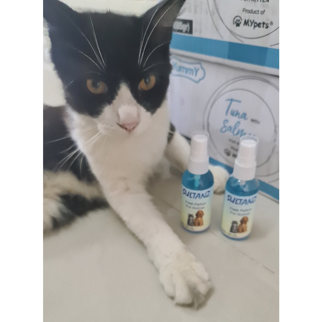 Parfum  Wangi Kucing dan Anjing Sultanz Parfum 60ml