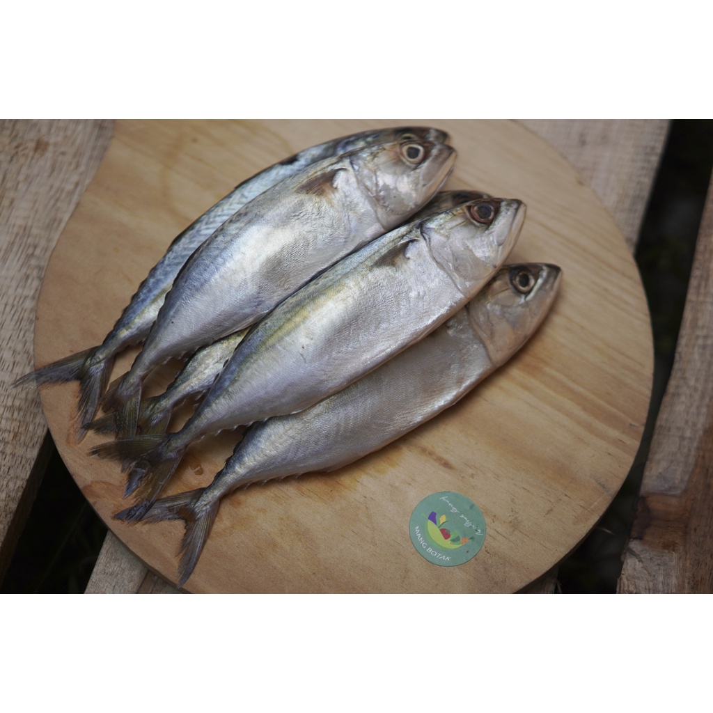 

Ikan Kembung banjar segar utuh (tanpa dibersihkan isinya)