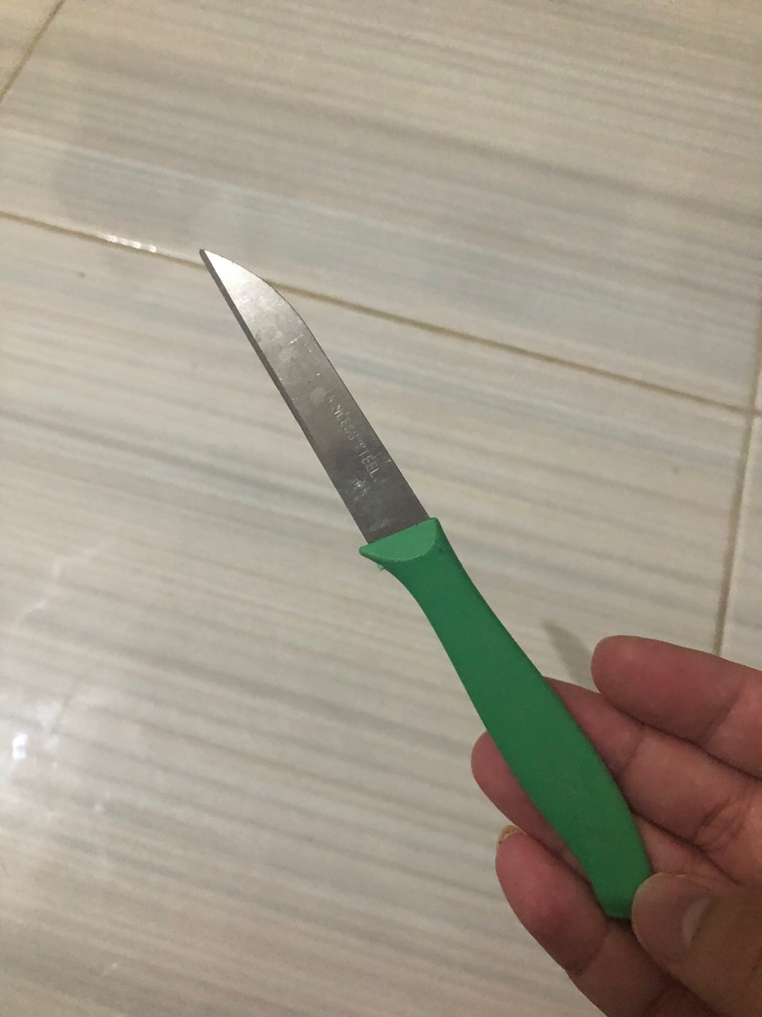 Pisau Stainless Steel Gagang Pelastik Kecil Kupas Buah Sayur Dll