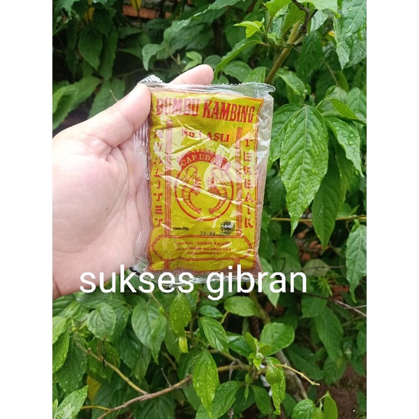 

Bumbu masak padang cap udang shaset 50 gram