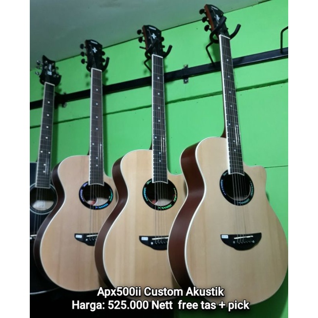 Apx500ii custom akustik