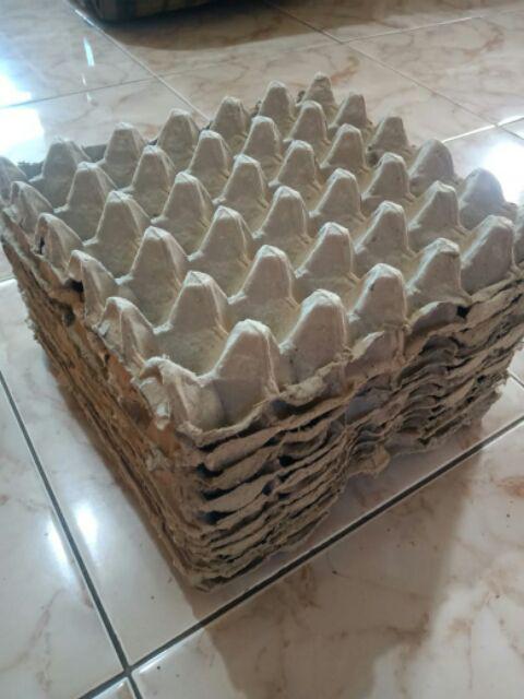 Egg Tray Ecer