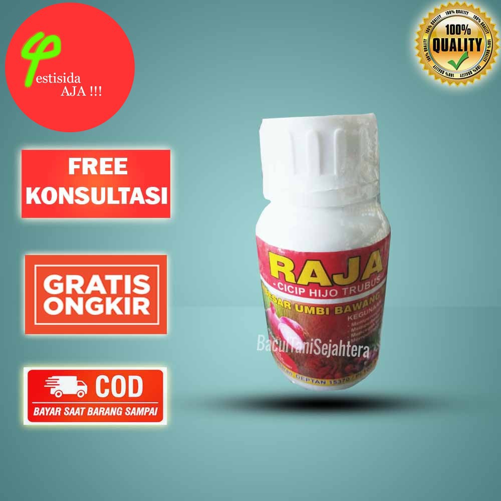 RAJA 250 ML pembesar umbi bawang merah trubus