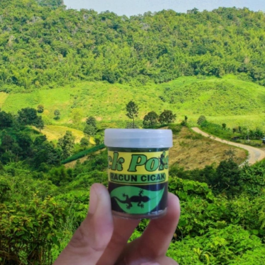 Racun Cicak Herbal Original FEZONE