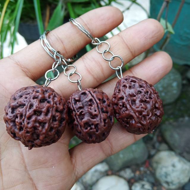 Bandul jenitri genitri rudraksha