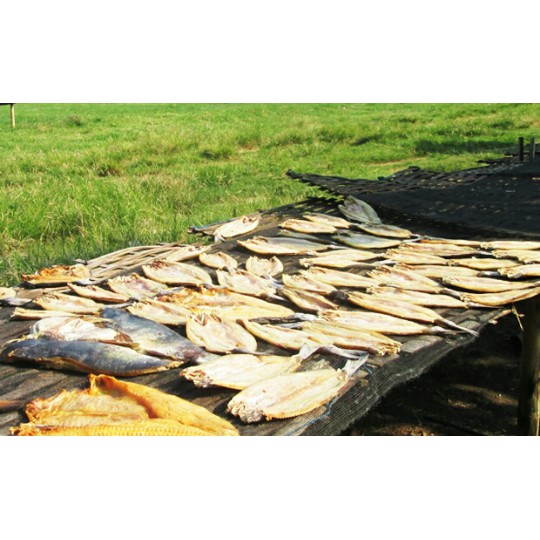 

Ikan Asin Jambal Roti