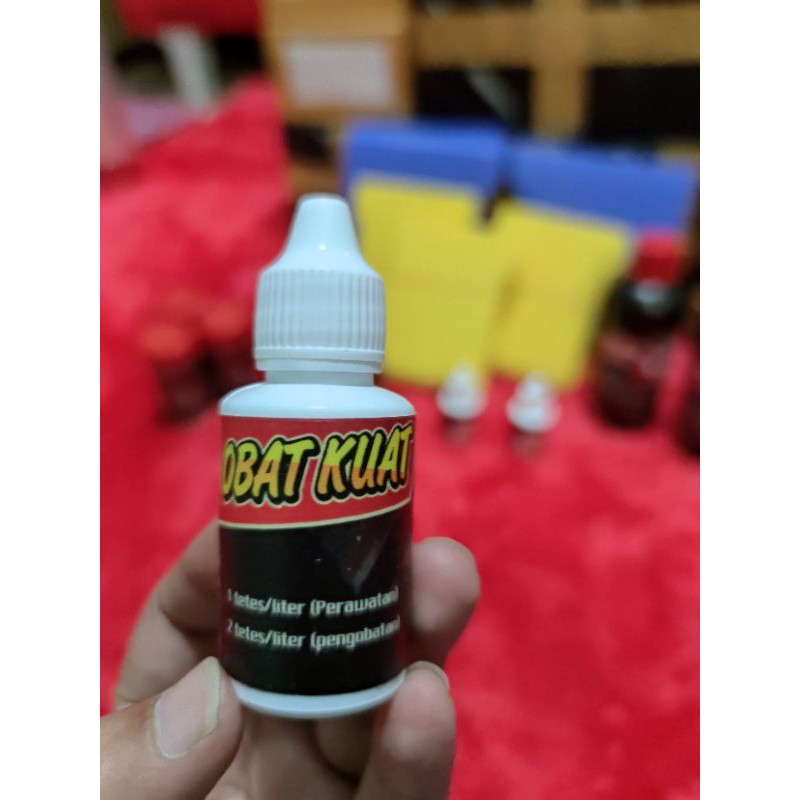 OBAT KUAT KRT UNTUK IKAN CUPANG