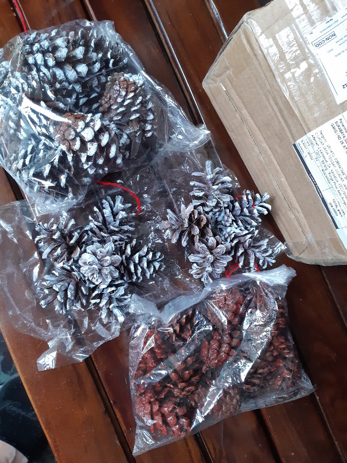 Bunga Pinus Salju Bunga Pinus Kering Putih Salju Hiasan Pohon Natal Dekorasi Natal