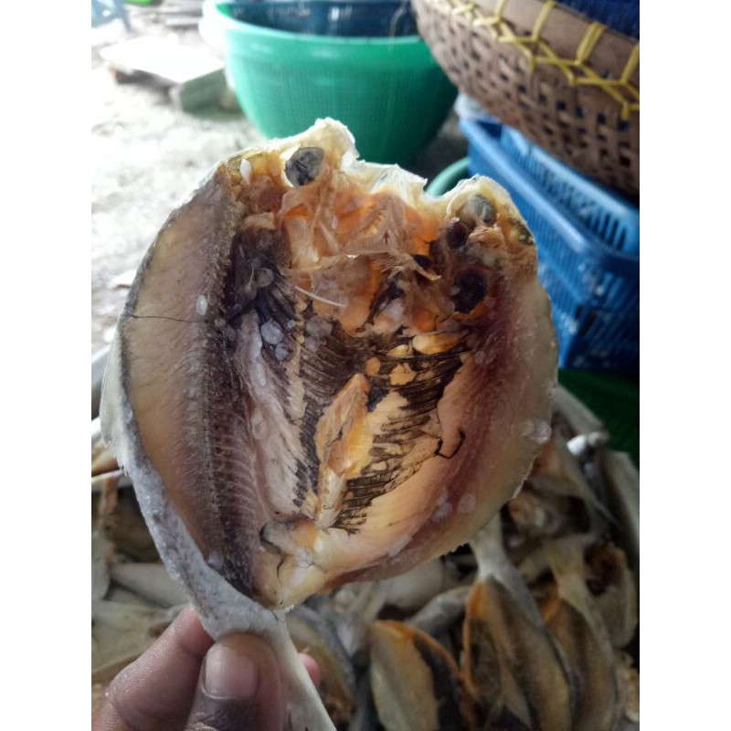 

ikan belekan tidak terlau asin per 250gr