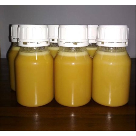 

Madu Putih Trigona SP [400GR]