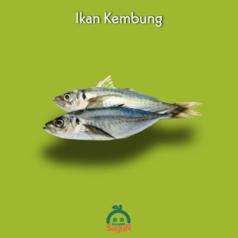 

Ikan Kembung Segar Utuh 500 Gram Perbox