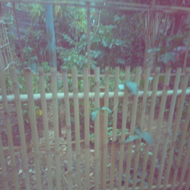 Wallpaper Doraemon Bata Biru Uk 45cmx10m Kode 1641