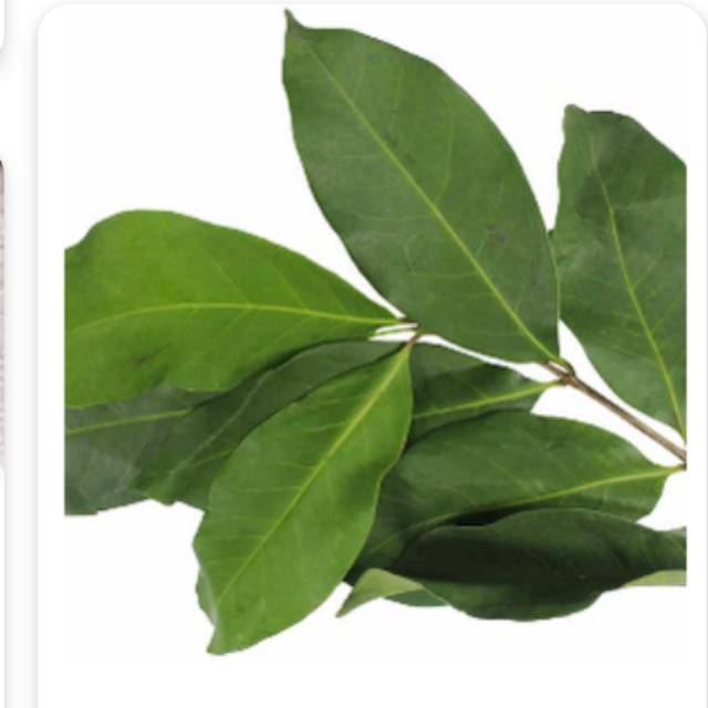 

Daun salam 50gr