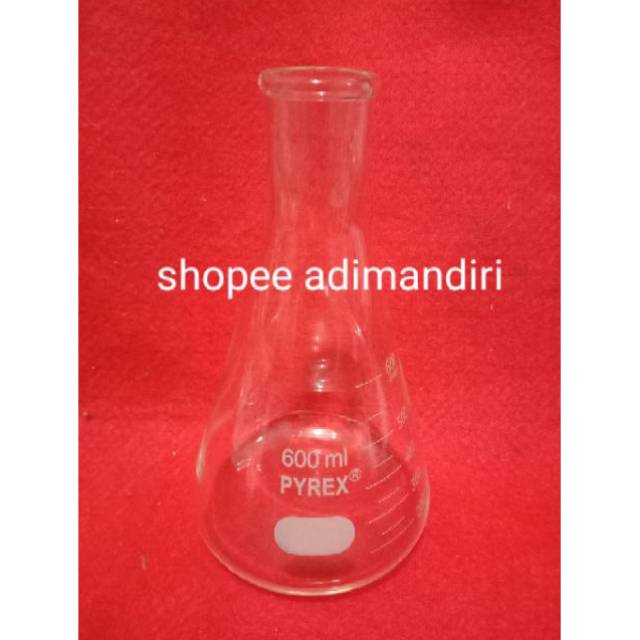Erlenmeyer Flask Pyrex 600ml