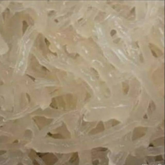 

Rumput laut segar dan fresh