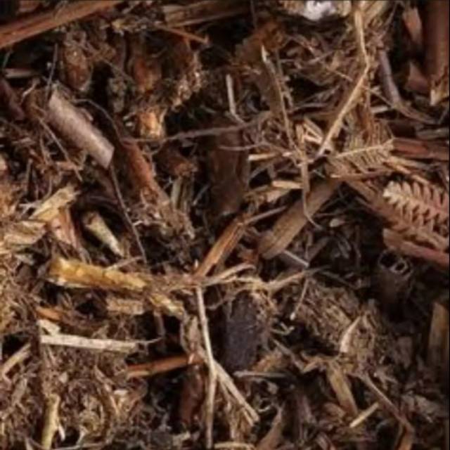 Media Tanam Kaliandra / Media Tanam Anggrek