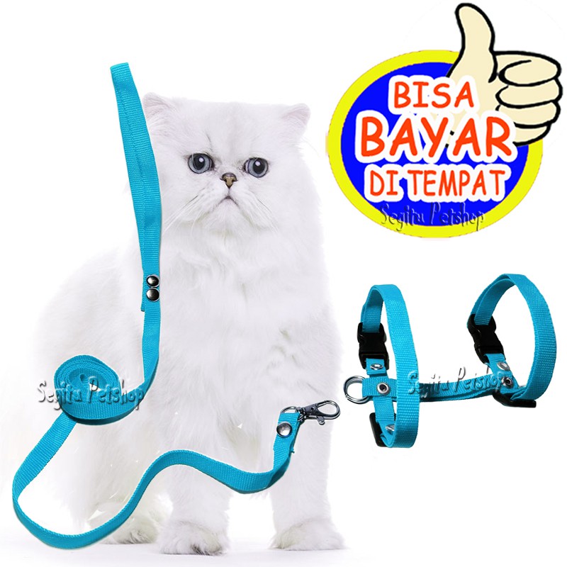 tali tuntun kucing anjing harness H