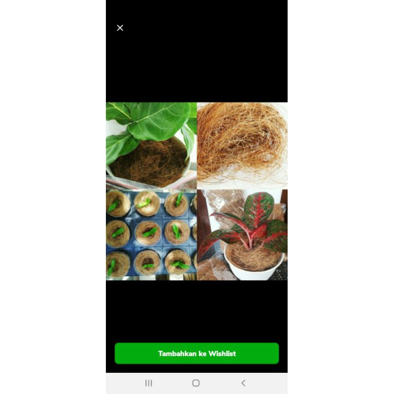 Sabut kelapa / coco fiber 1 kg / media tanam