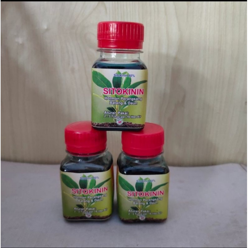 Hormon sitokinin murni perangsang batang dan daun