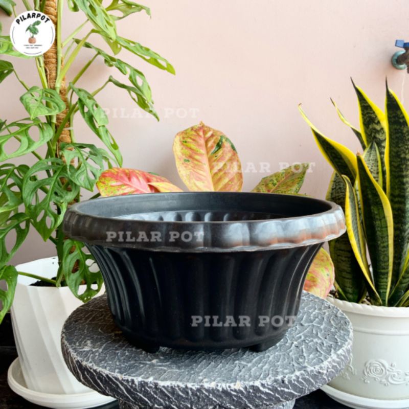 pot bunga tanaman bonsai glory 25 hitam tebal - BONSAI GLORY 25 HITAM