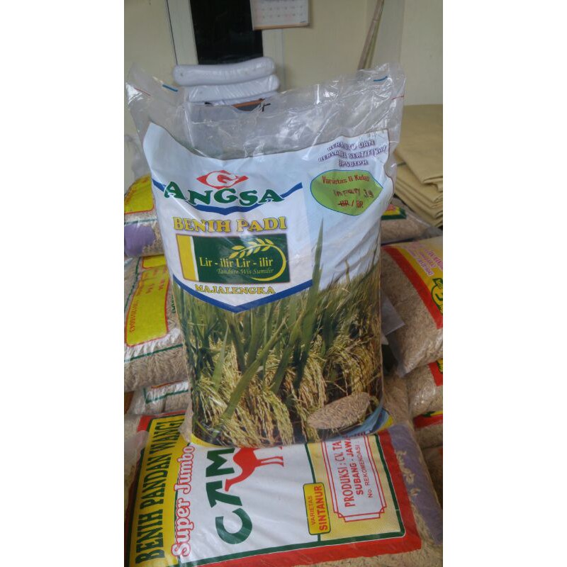 Benih Padi Inpari 39 Bersertifikat Padi Gogo Tadah Hujan Agritan Label Biru