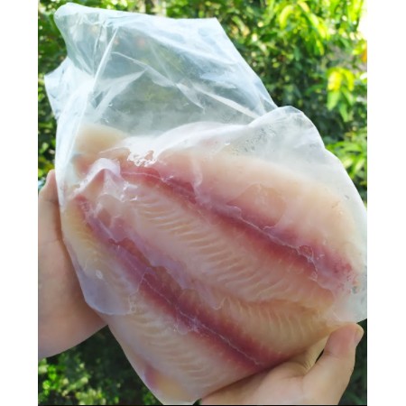 

Ikan Dori Fillet 1 Kg