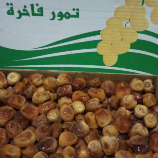 

Kurma Sukari kemasan 250 gram