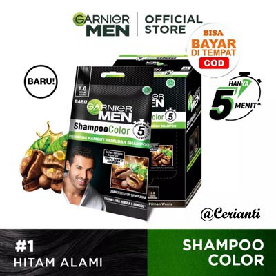 Garnier Hair Shampoo Color Men_Cat Rambut Cowo